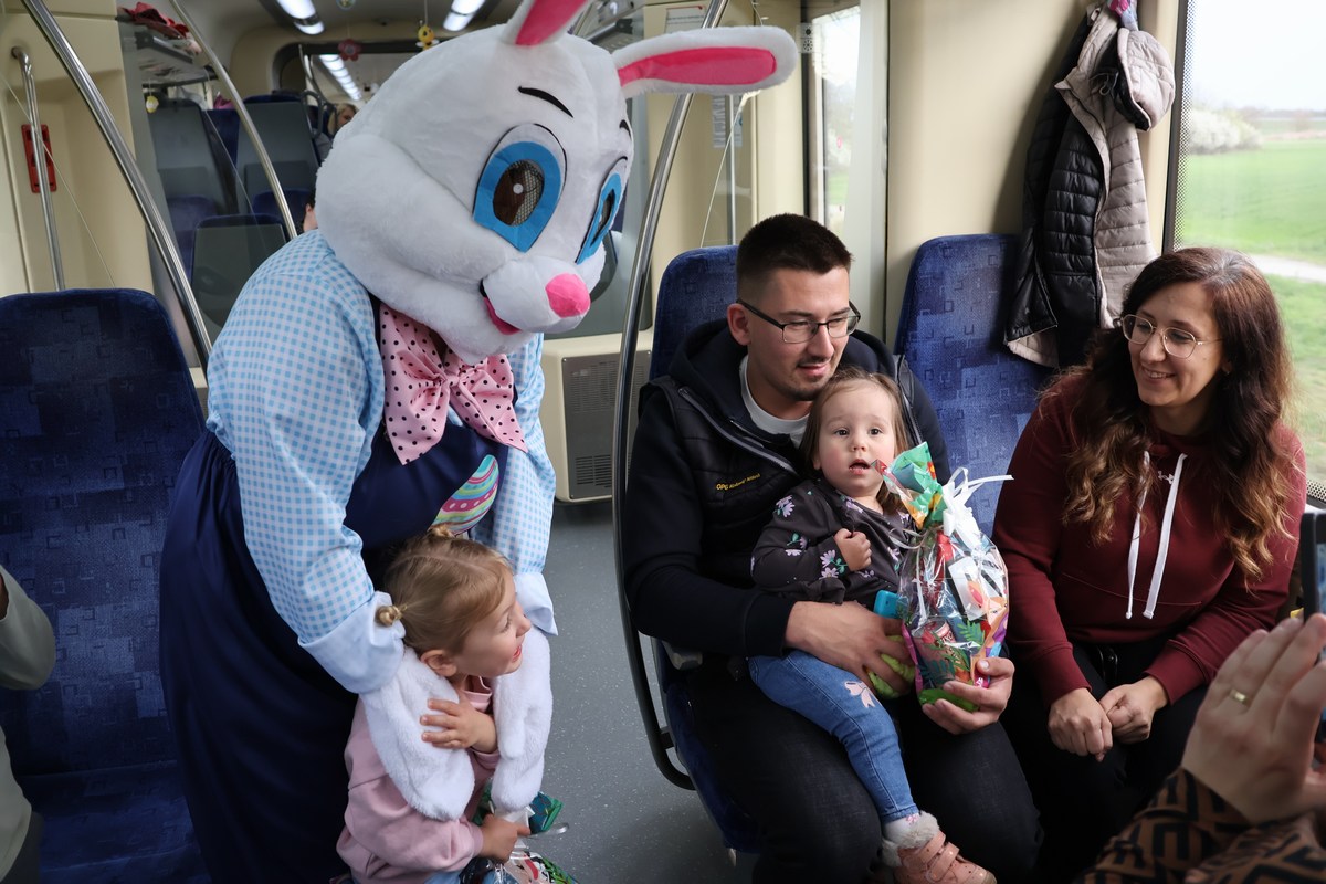 zeko express 2026 (19) zeko express 2026 (19)