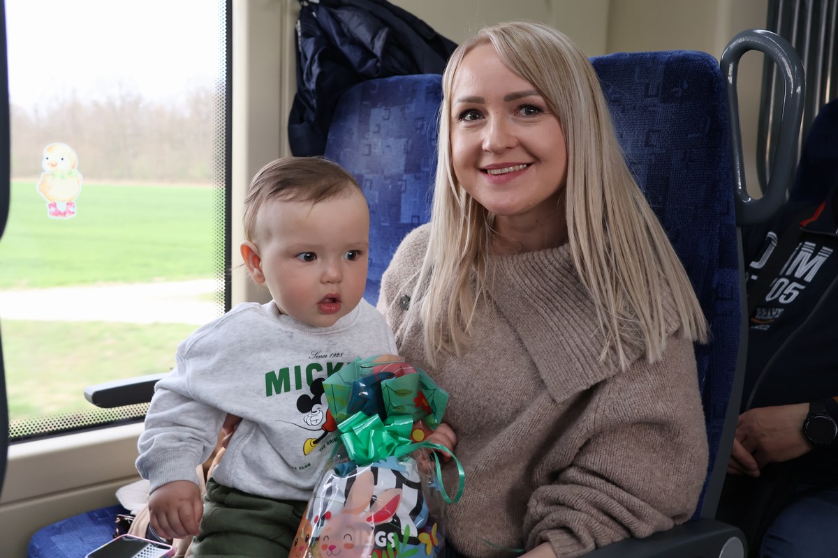 zeko express 2026 (22) zeko express 2026 (22)