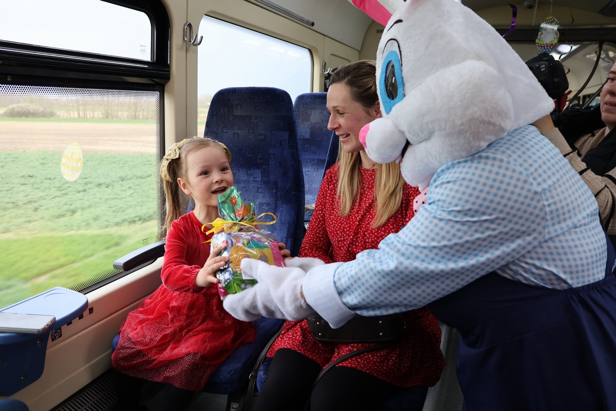 zeko express 2026 (23) zeko express 2026 (23)