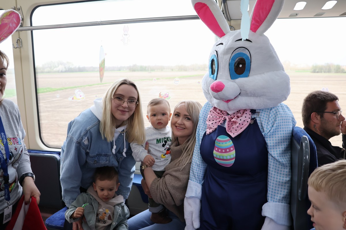 zeko express 2026 (24) zeko express 2026 (24)