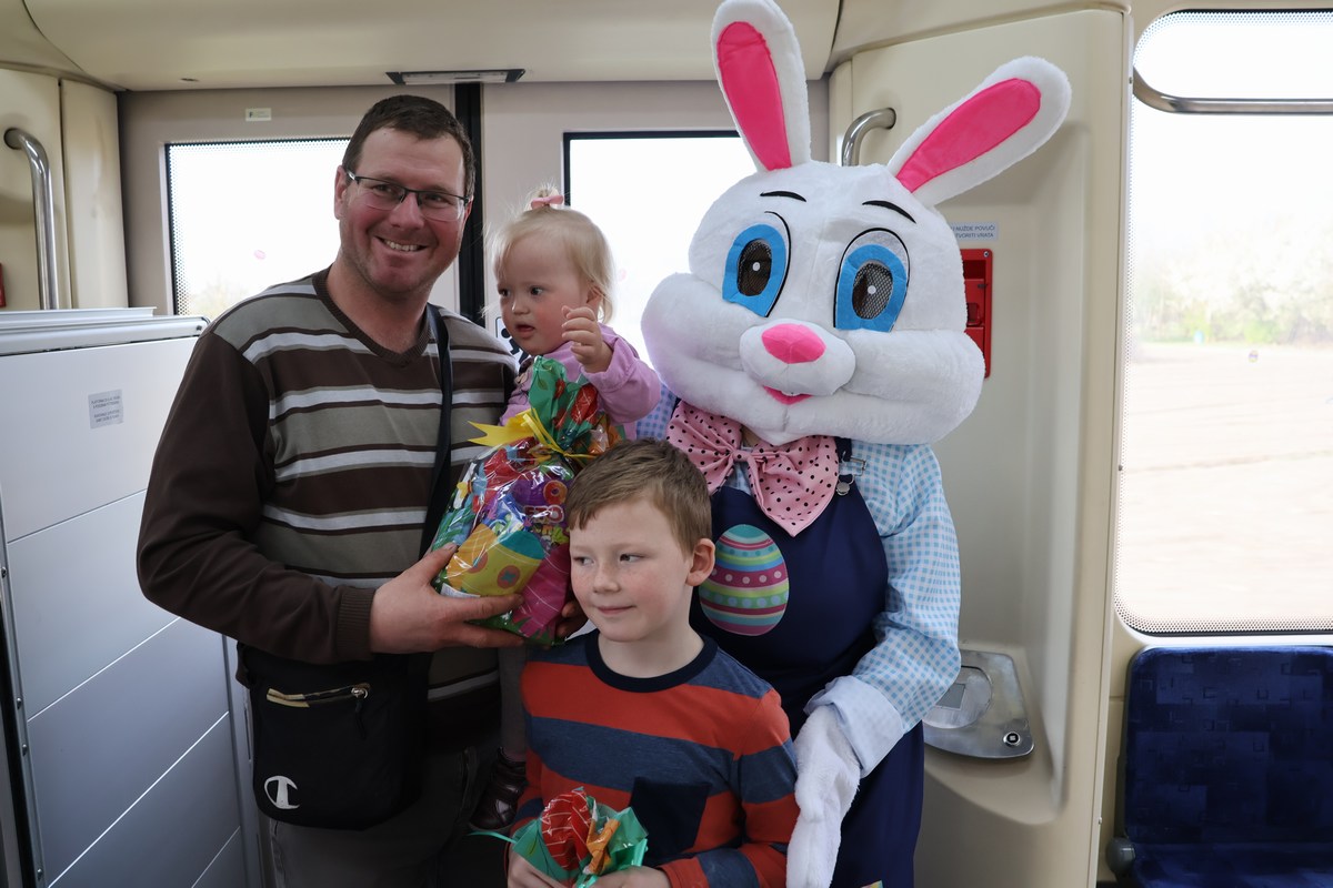 zeko express 2026 (25) zeko express 2026 (25)