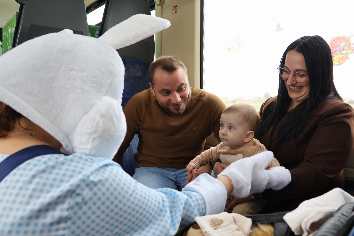 zeko express 2026 (27) zeko express 2026 (27)