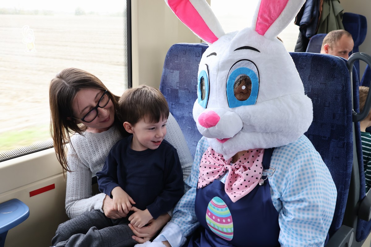 zeko express 2026 (28) zeko express 2026 (28)