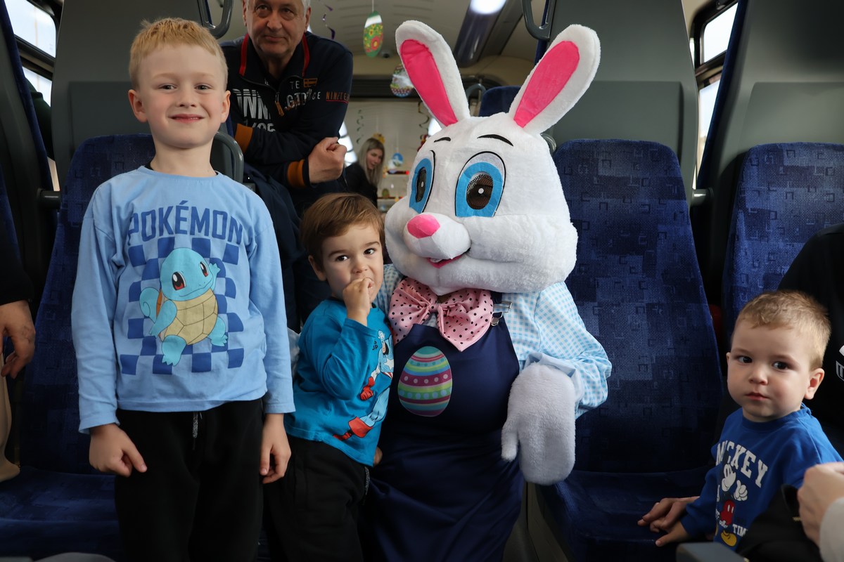 zeko express 2026 (29) zeko express 2026 (29)