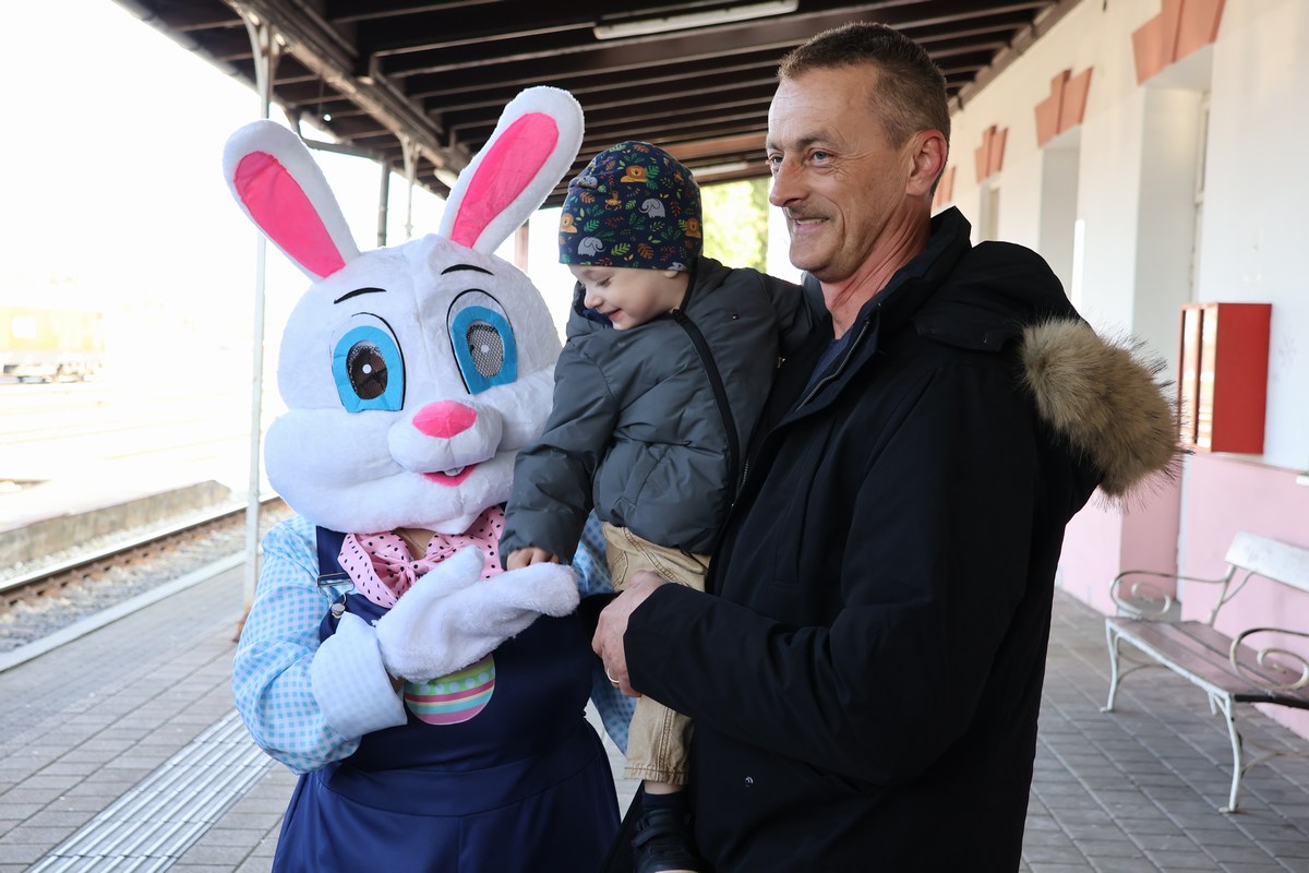 zeko express 2026 (3) zeko express 2026 (3)