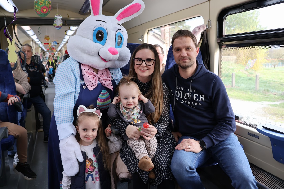 zeko express 2026 (30) zeko express 2026 (30)