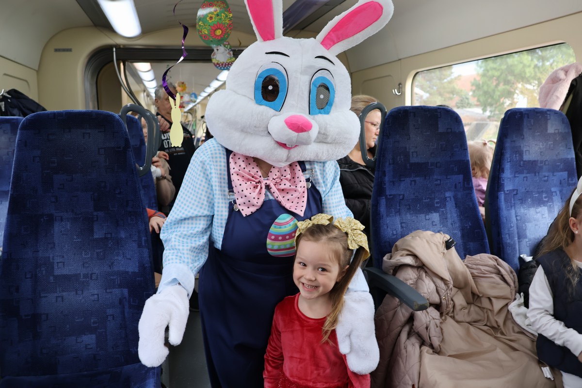 zeko express 2026 (31) zeko express 2026 (31)