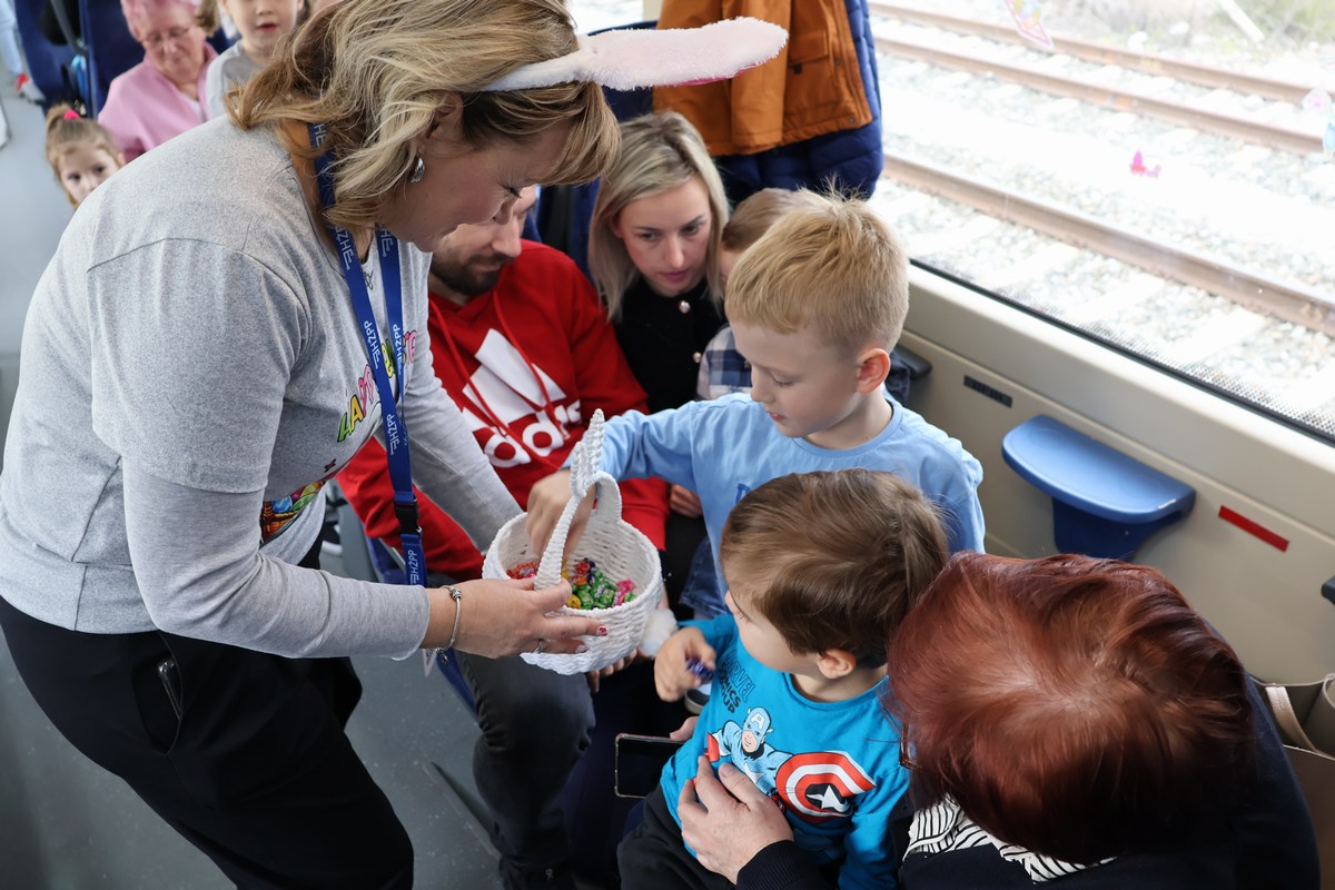 zeko express 2026 (32) zeko express 2026 (32)