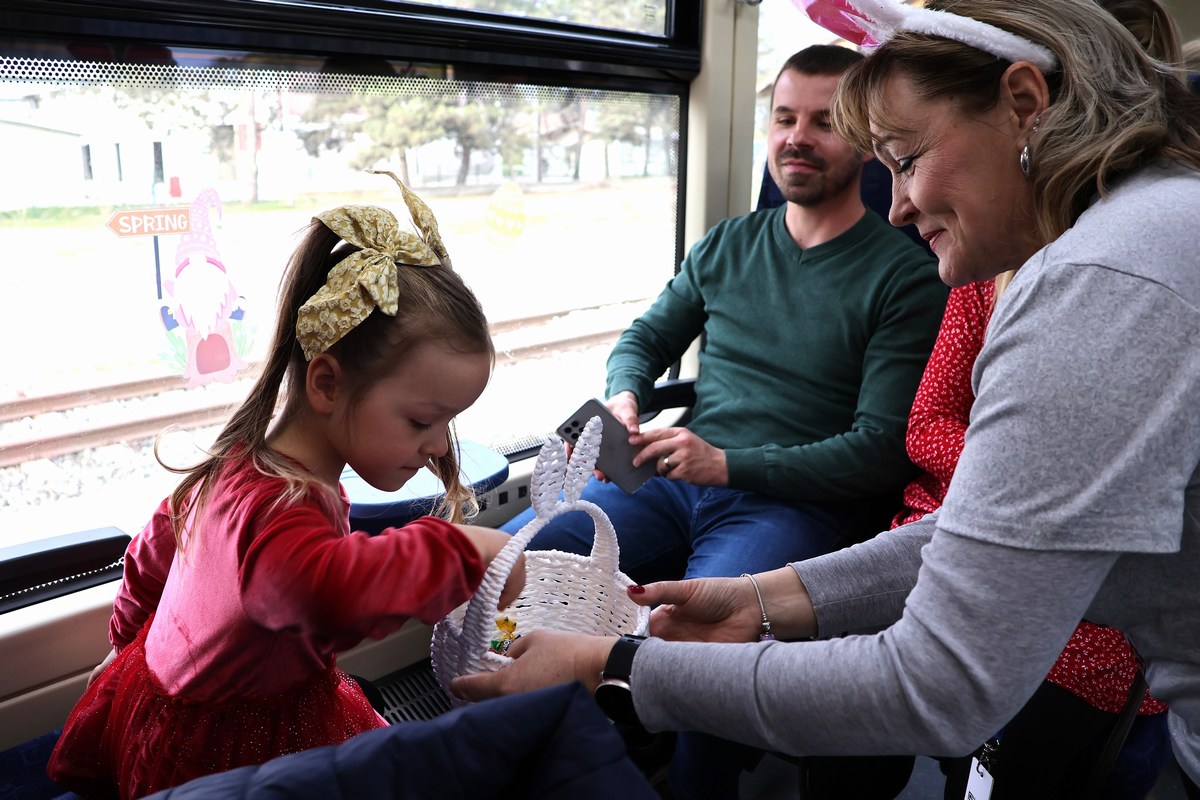 zeko express 2026 (33) zeko express 2026 (33)