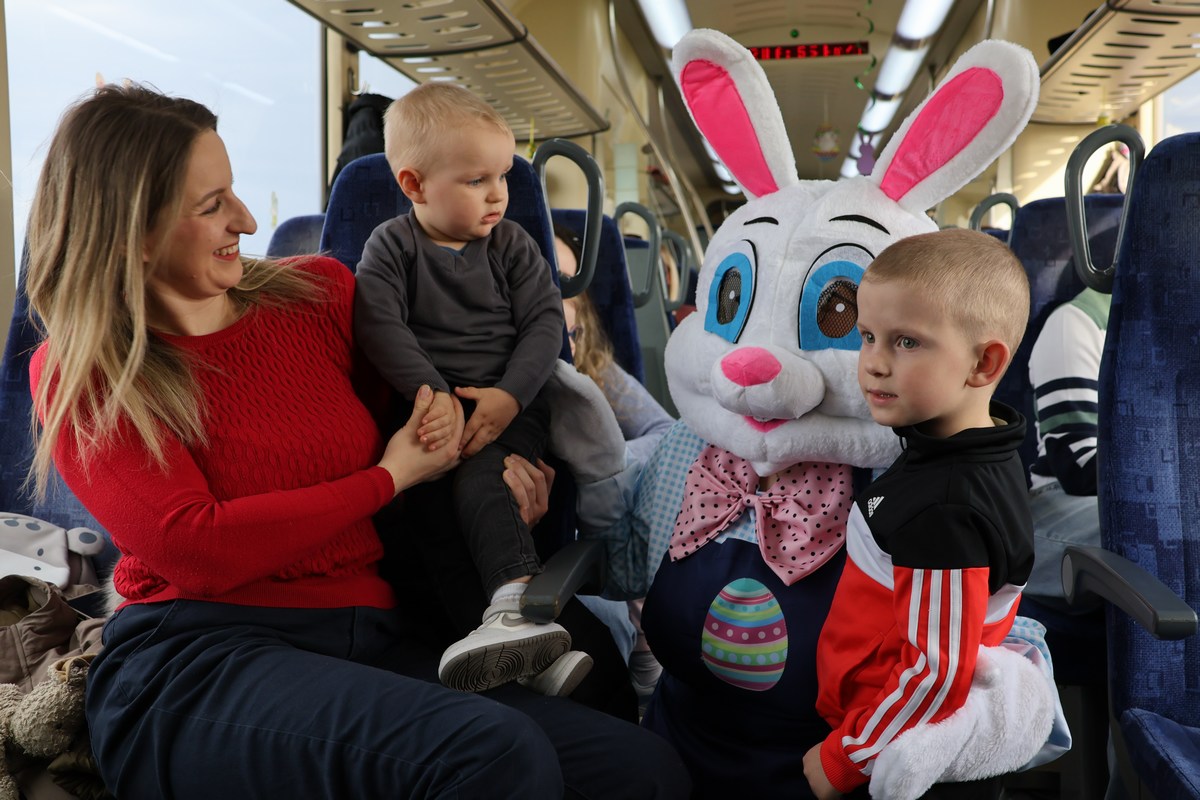 zeko express 2026 (38) zeko express 2026 (38)