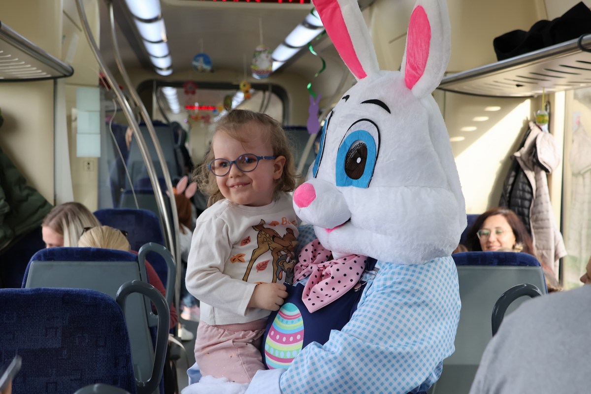 zeko express 2026 (39) zeko express 2026 (39)