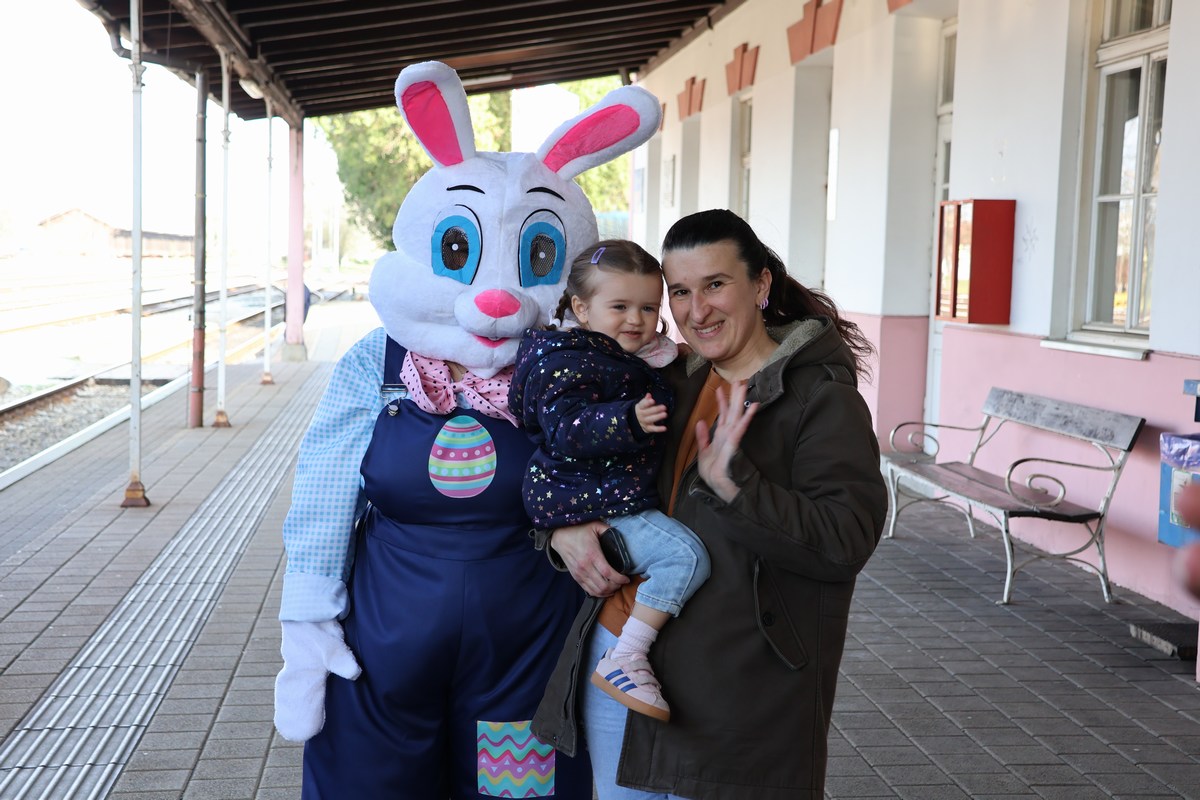 zeko express 2026 (4) zeko express 2026 (4)