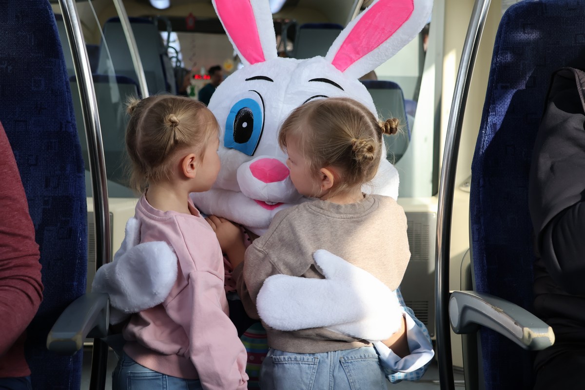 zeko express 2026 (40) zeko express 2026 (40)