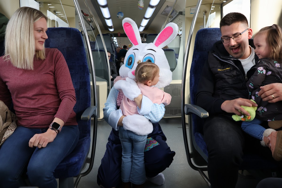 zeko express 2026 (41) zeko express 2026 (41)