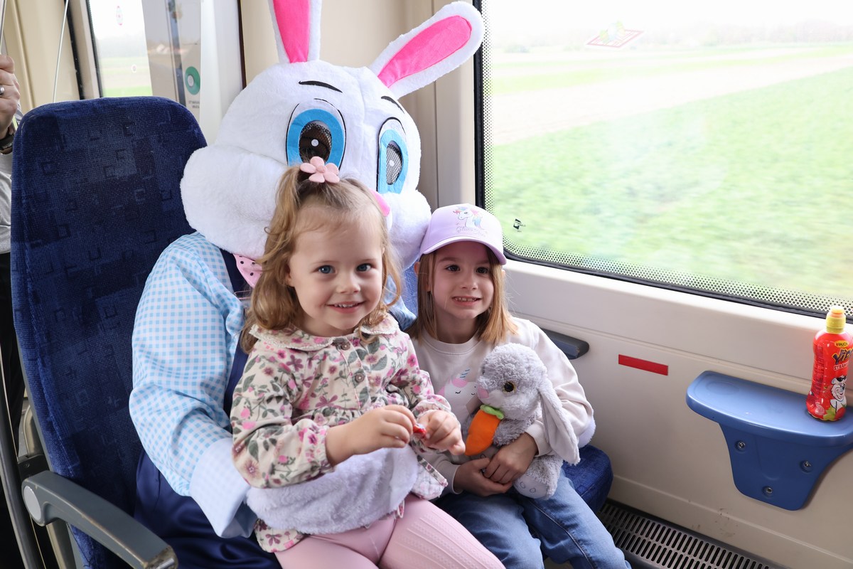 zeko express 2026 (43) zeko express 2026 (43)