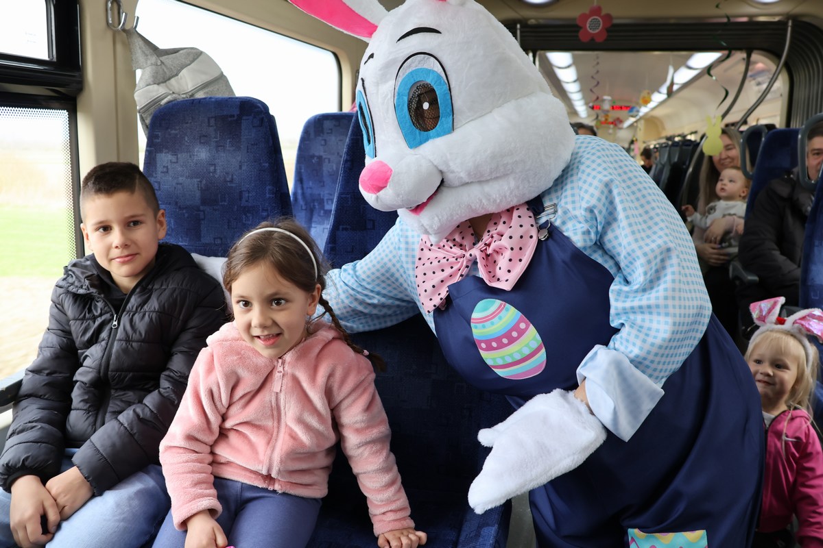 zeko express 2026 (44) zeko express 2026 (44)