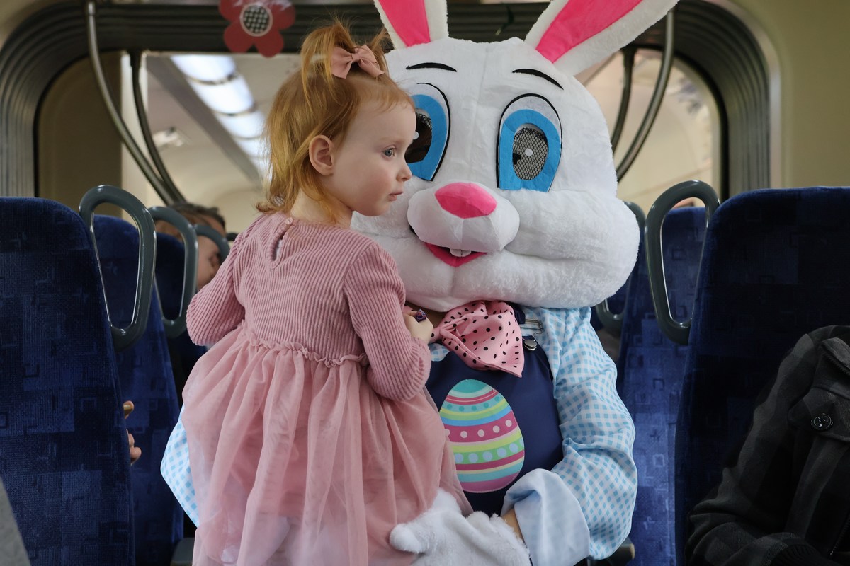 zeko express 2026 (45) zeko express 2026 (45)