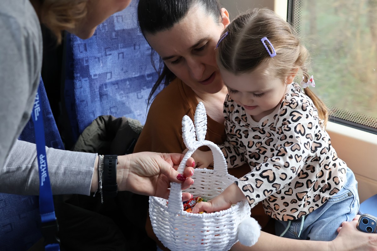 zeko express 2026 (46) zeko express 2026 (46)