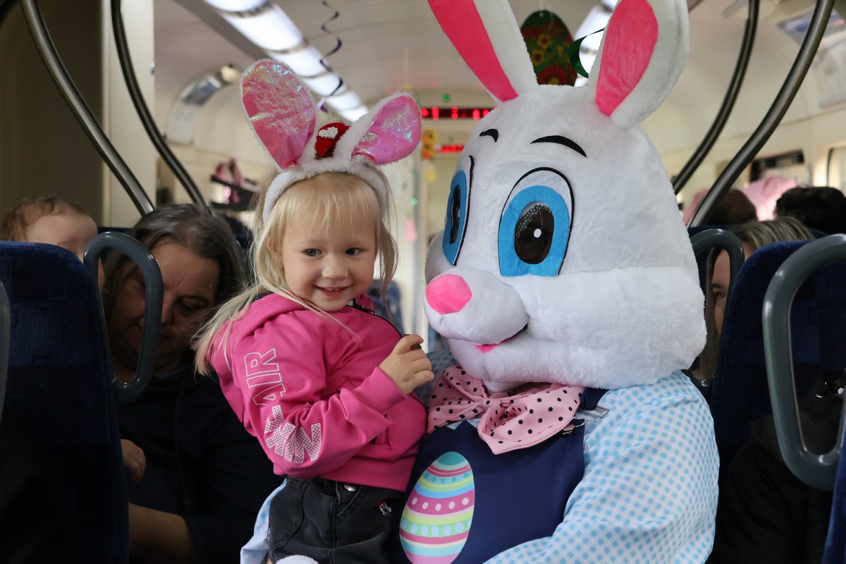 zeko express 2026 (47) zeko express 2026 (47)