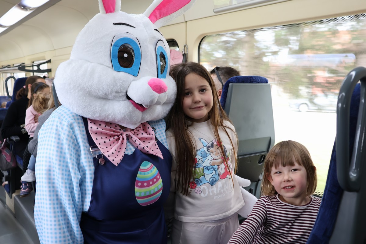 zeko express 2026 (48) zeko express 2026 (48)