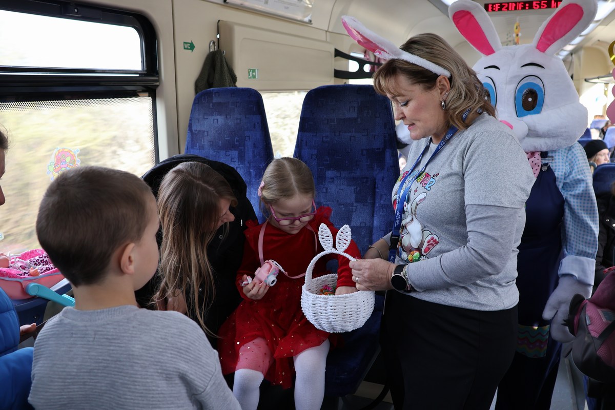 zeko express 2026 (49) zeko express 2026 (49)