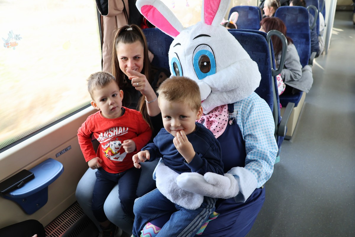 zeko express 2026 (50) zeko express 2026 (50)