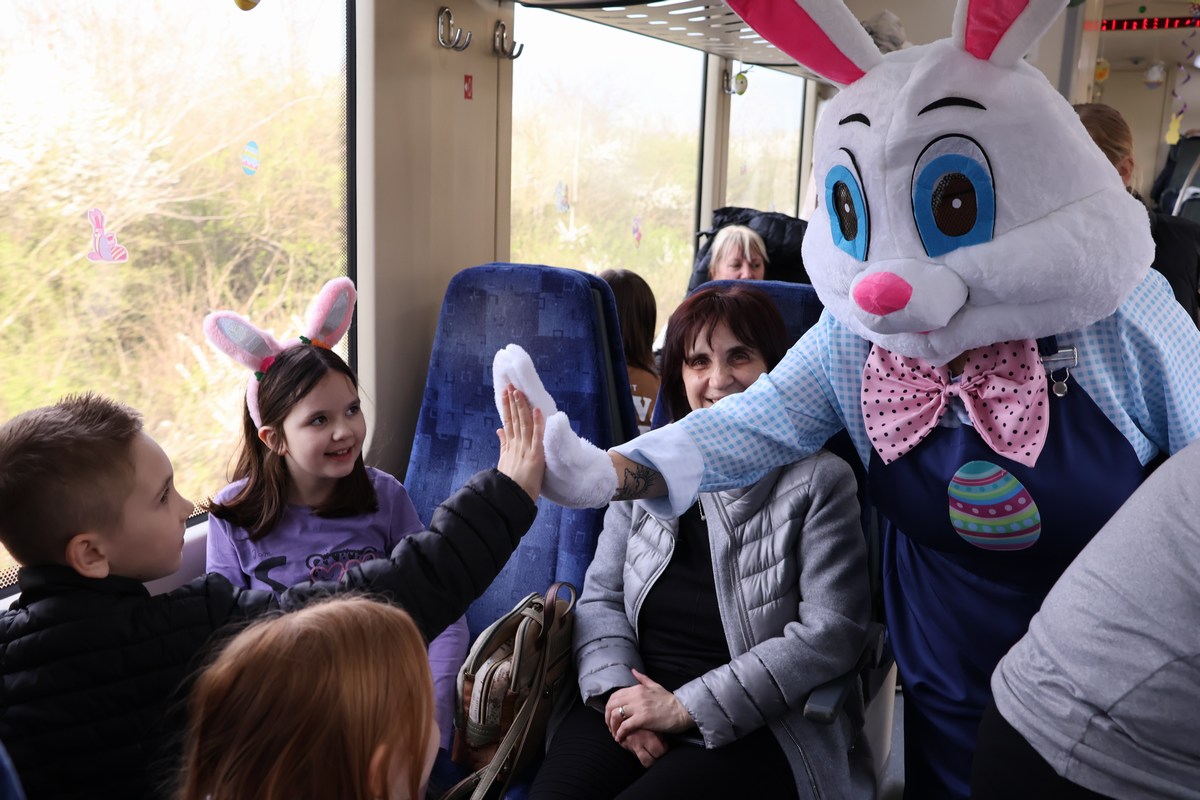 zeko express 2026 (54) zeko express 2026 (54)