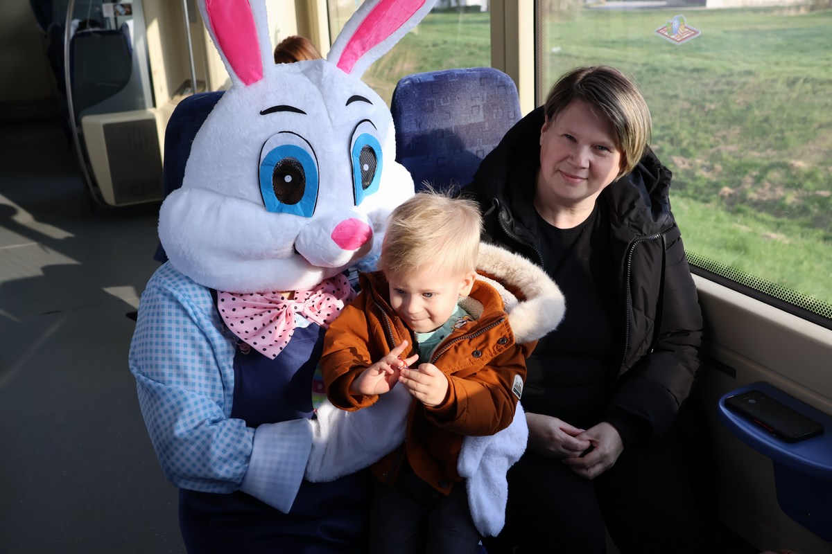 zeko express 2026 (59) zeko express 2026 (59)