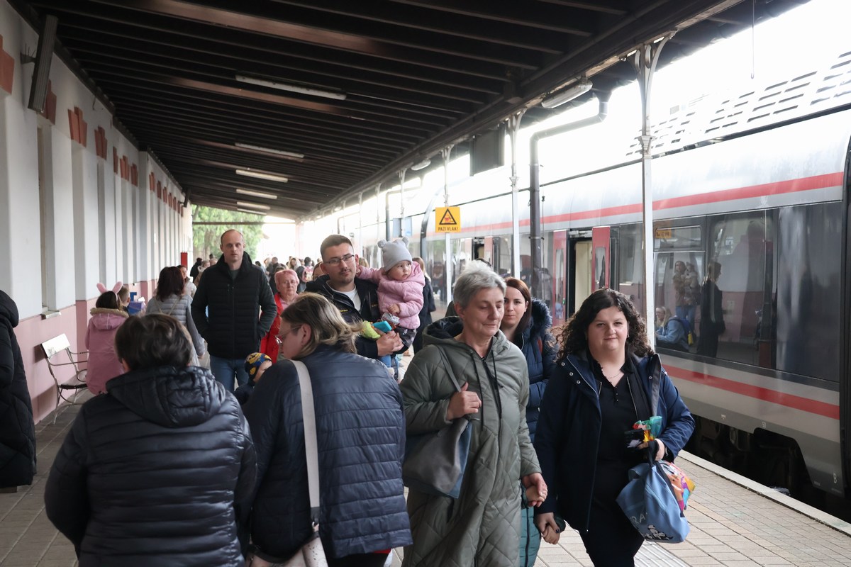 zeko express 2026 (6) zeko express 2026 (6)