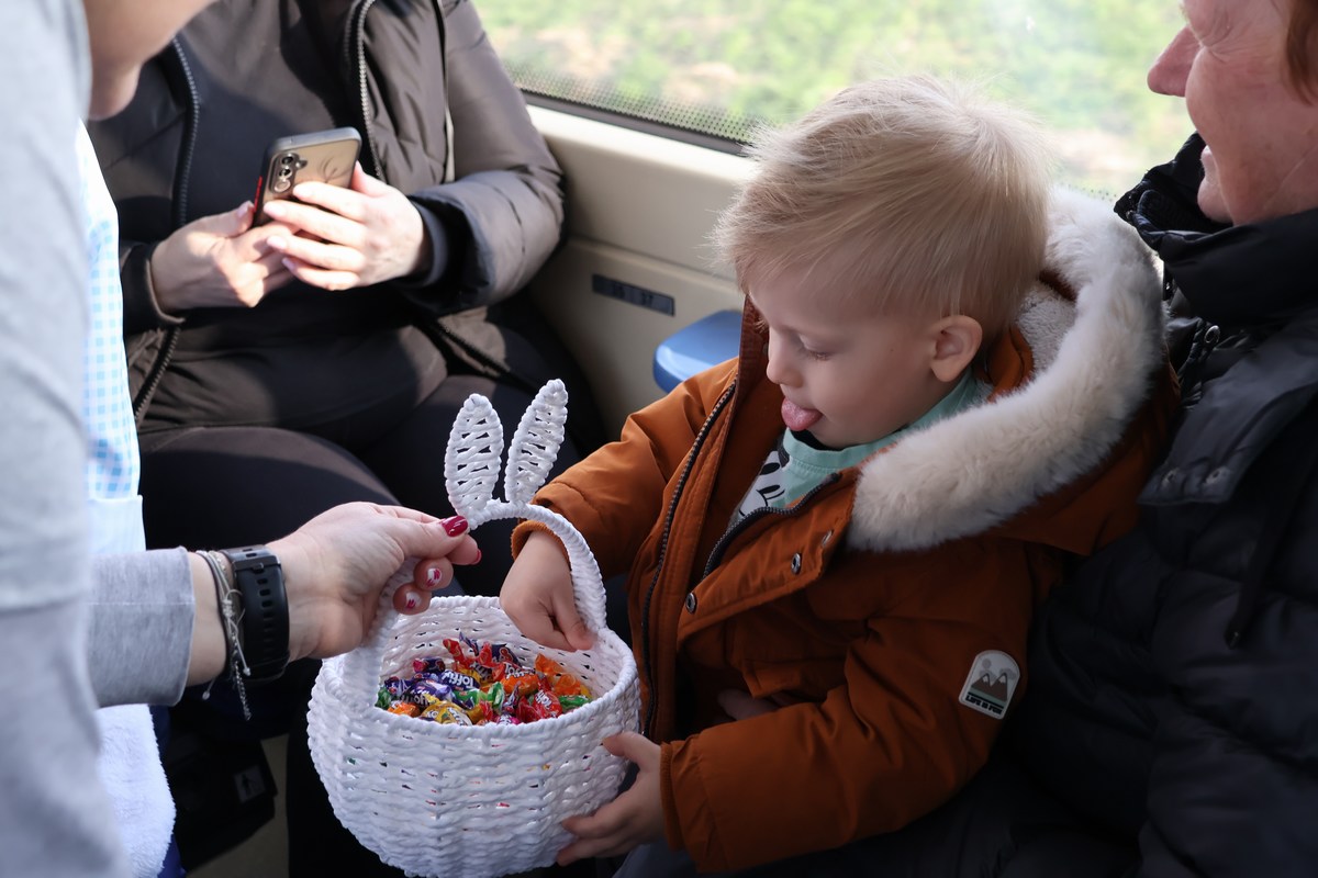 zeko express 2026 (60) zeko express 2026 (60)