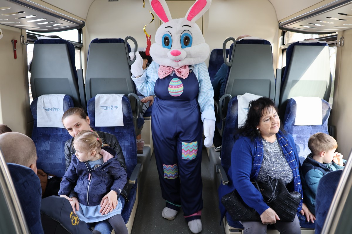 zeko express 2026 (62) zeko express 2026 (62)