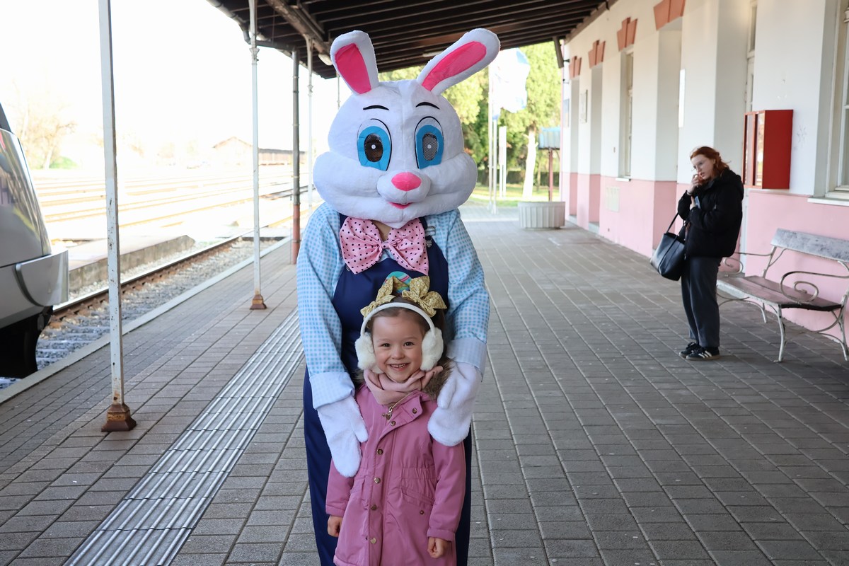 zeko express 2026 (68) zeko express 2026 (68)