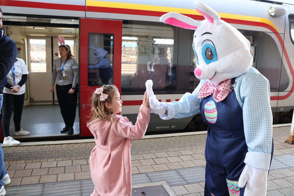 zeko express 2026 (69) zeko express 2026 (69)