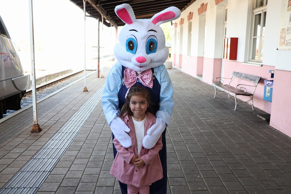 zeko express 2026 (70) zeko express 2026 (70)