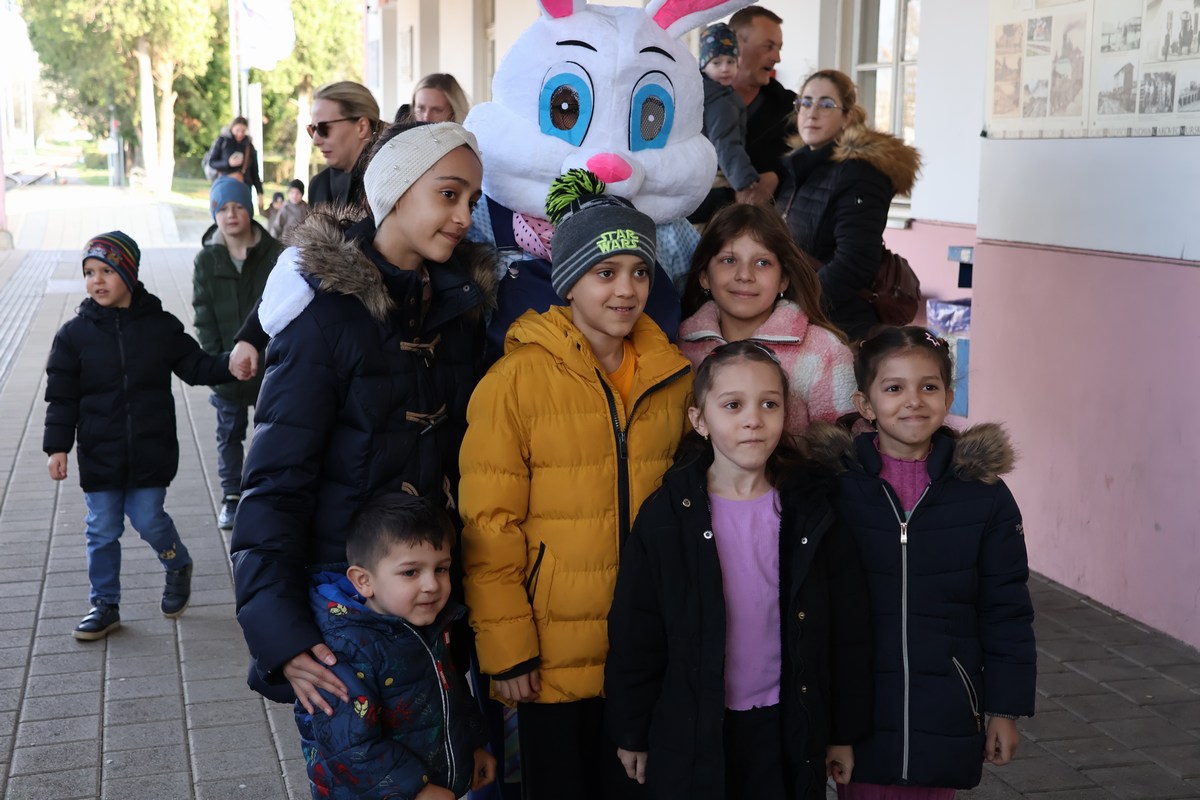 zeko express 2026 (71) zeko express 2026 (71)