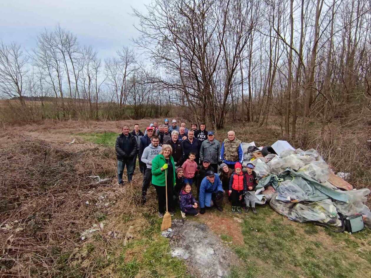 zelena čistka 2025 (15) zelena čistka 2025 (15)