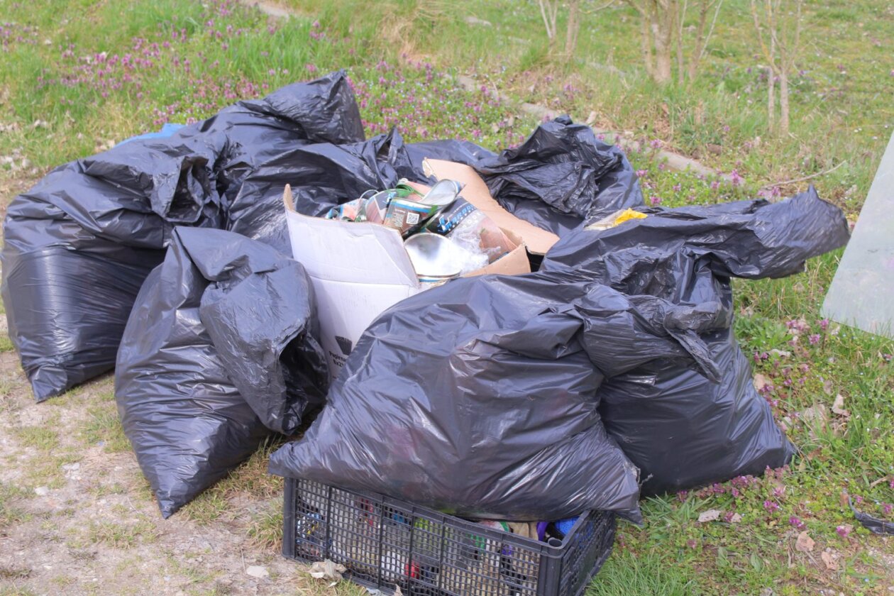 zelena čistka 2025 (24) zelena čistka 2025 (24)