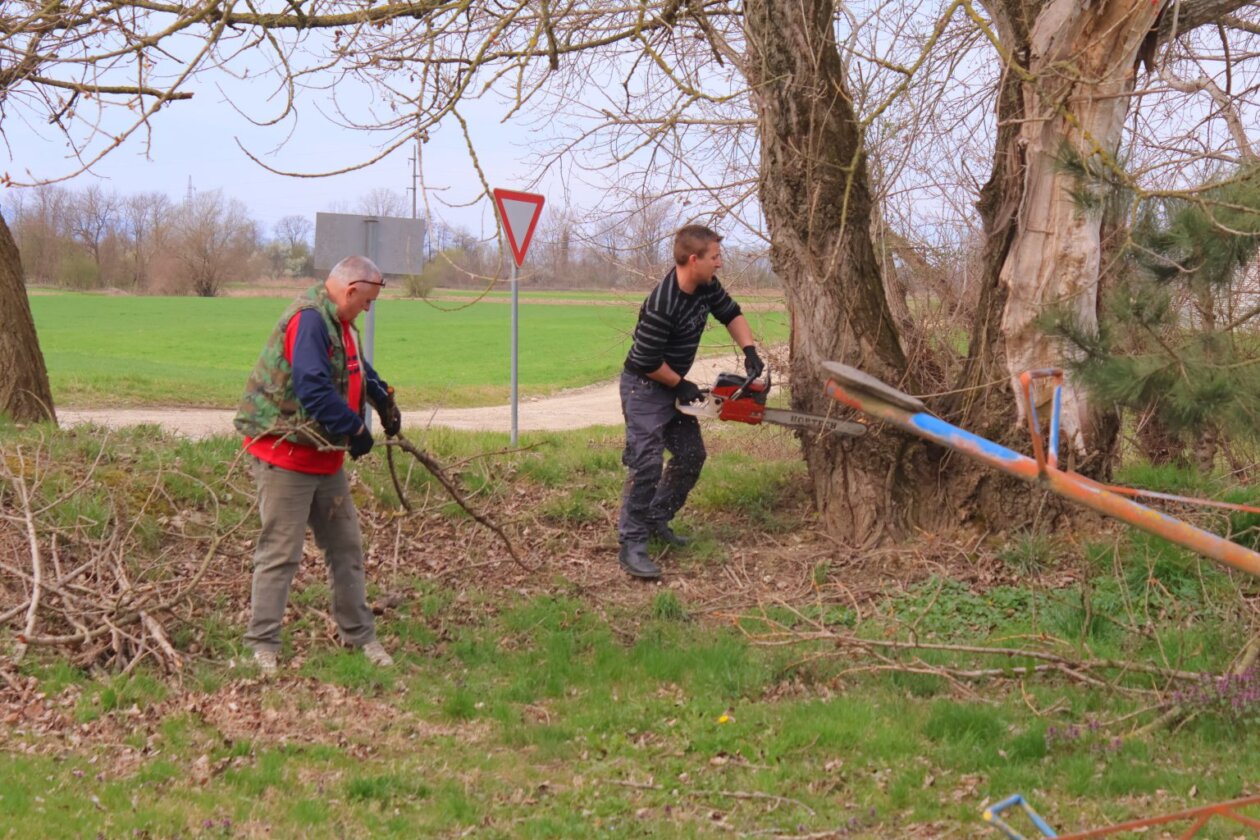 zelena čistka 2025 (26) zelena čistka 2025 (26)