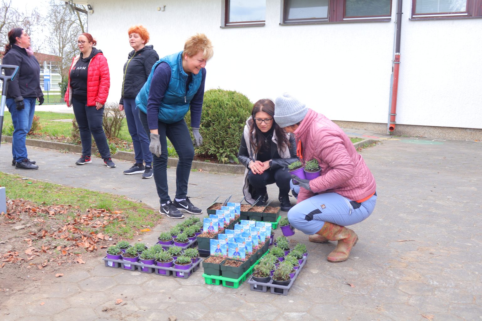 zelena čistka 2025 (31) zelena čistka 2025 (31)