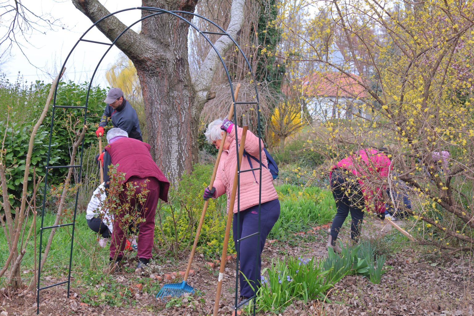 zelena čistka 2025 (33) zelena čistka 2025 (33)