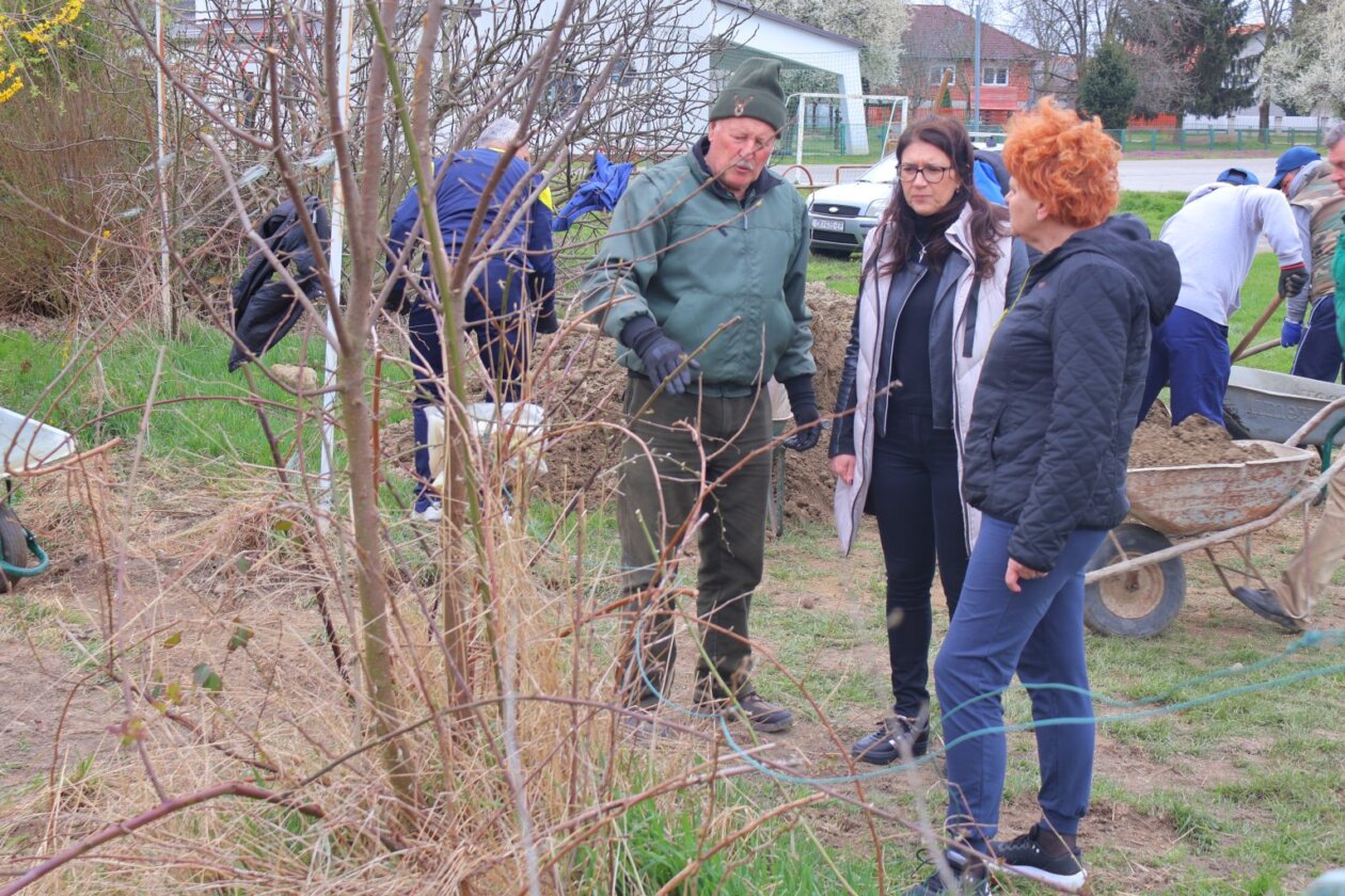 zelena čistka 2025 (40) zelena čistka 2025 (40)