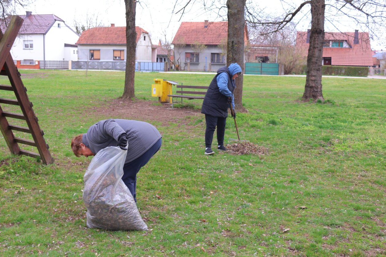 zelena čistka 2025 (43) zelena čistka 2025 (43)