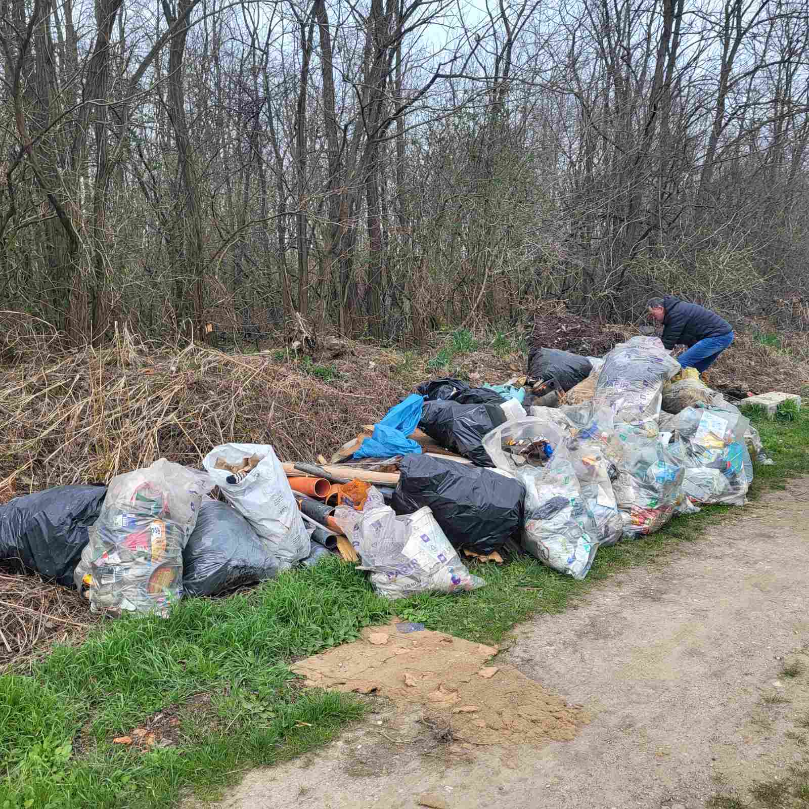 zelena čistka 2025 (47) zelena čistka 2025 (47)