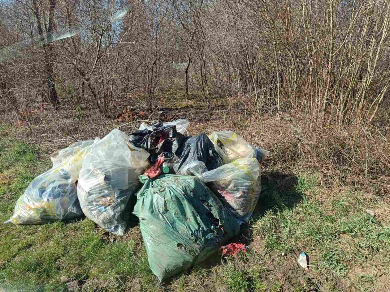 zelena čistka 2025 (9) zelena čistka 2025 (9)