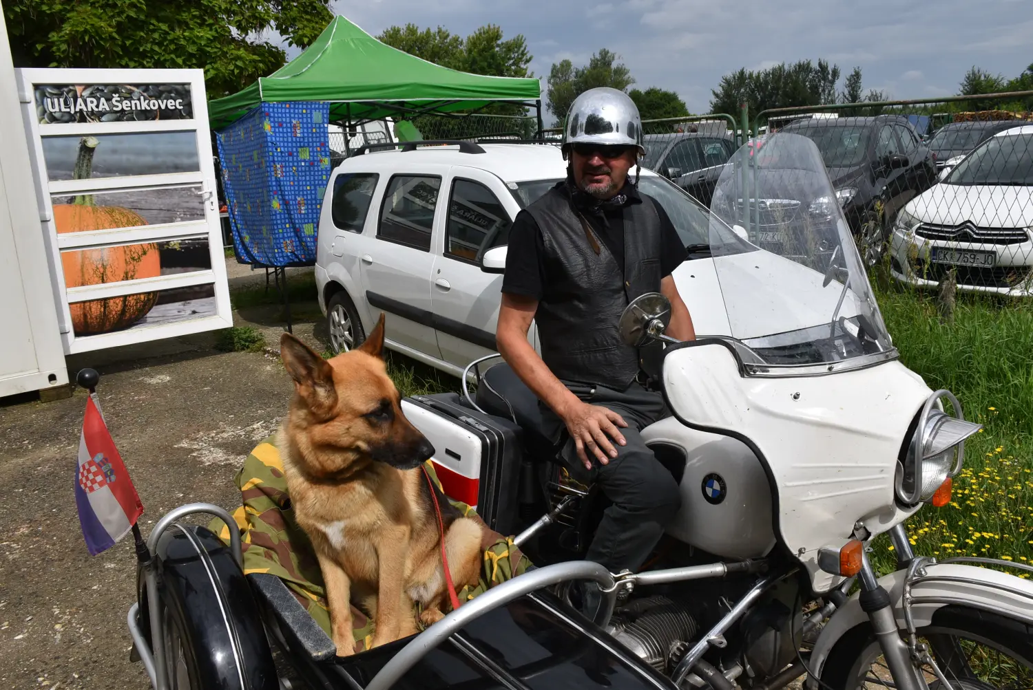 željko,izzy (5) željko,izzy (5)