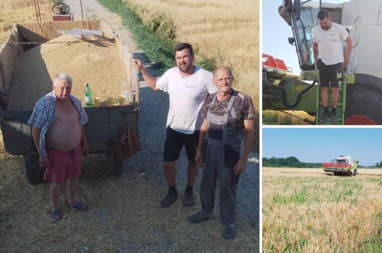 prva žetva