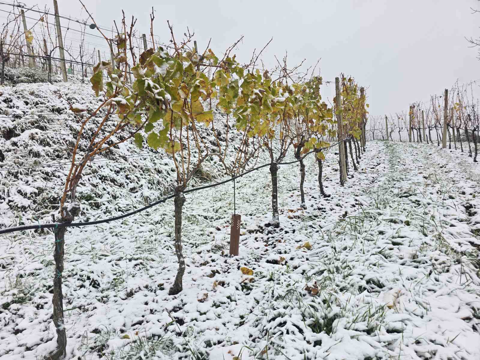 zima snijeg ceste (10)