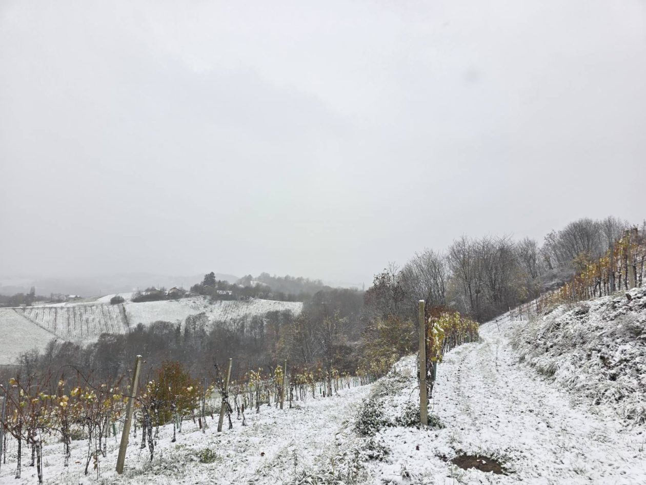 zima snijeg ceste (11)