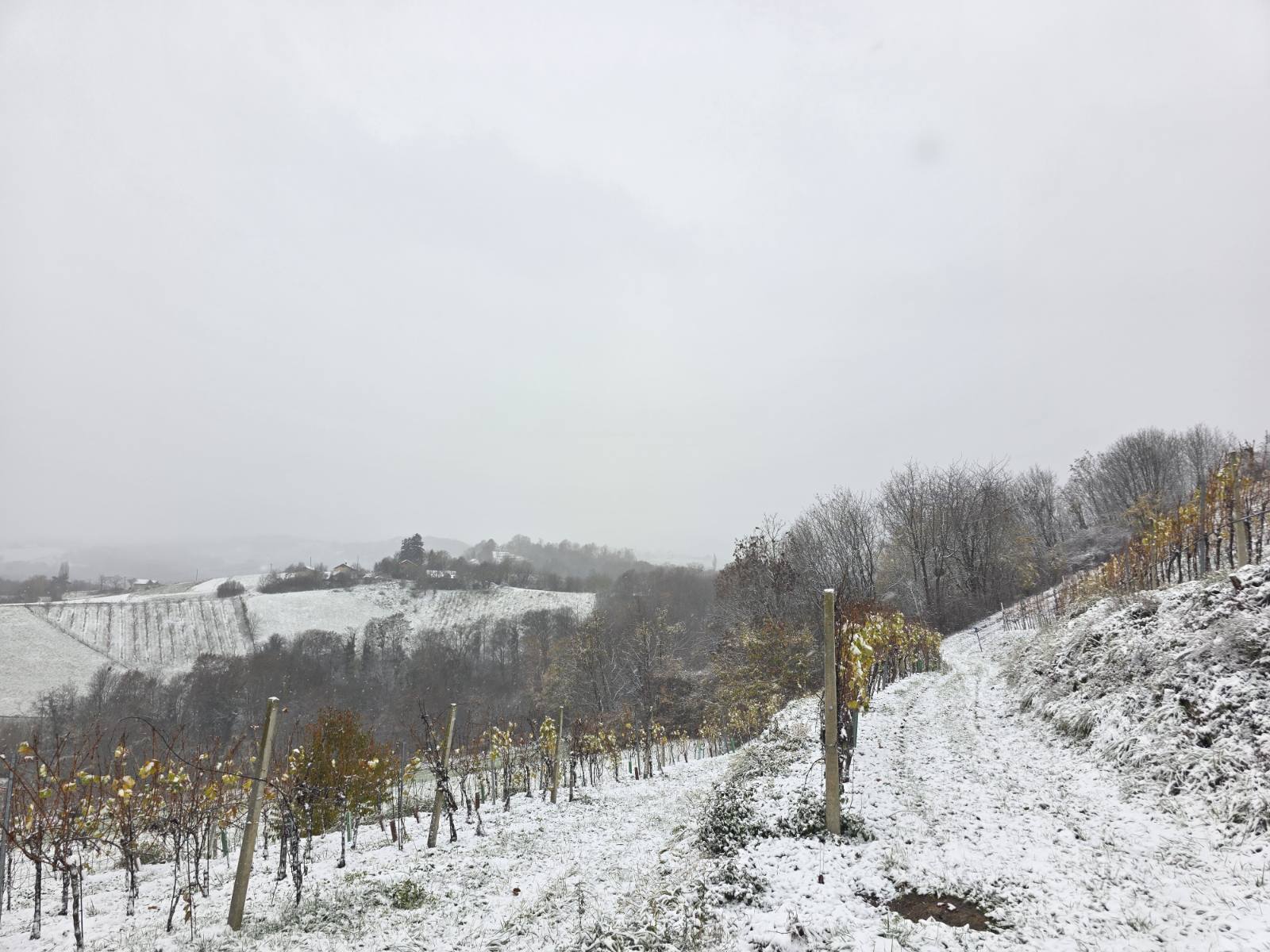 zima snijeg ceste (11)