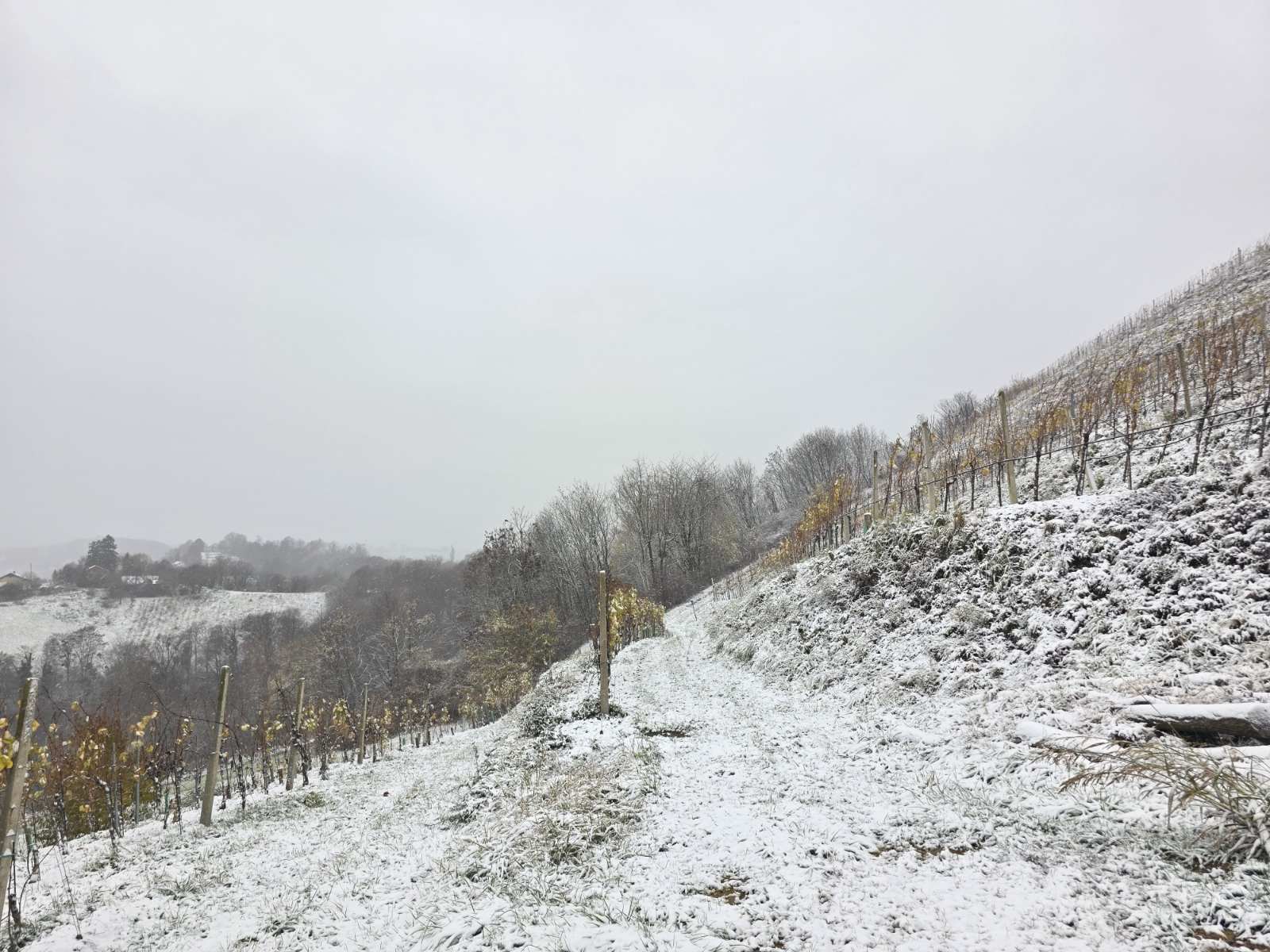 zima snijeg ceste (12)